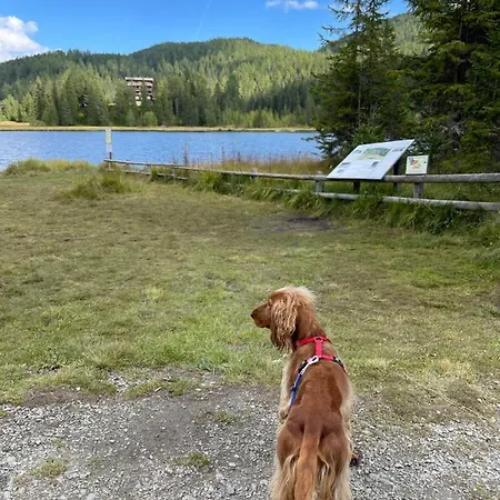 Apartmán Tini's Feinstes Mariapfarr