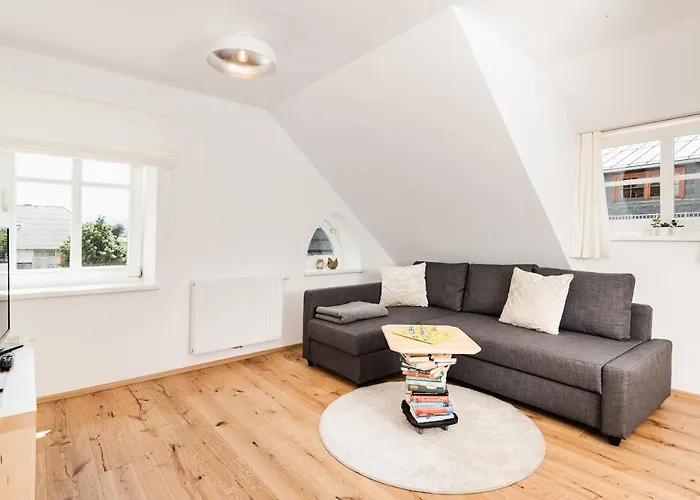 Daire Tini's Feinstes