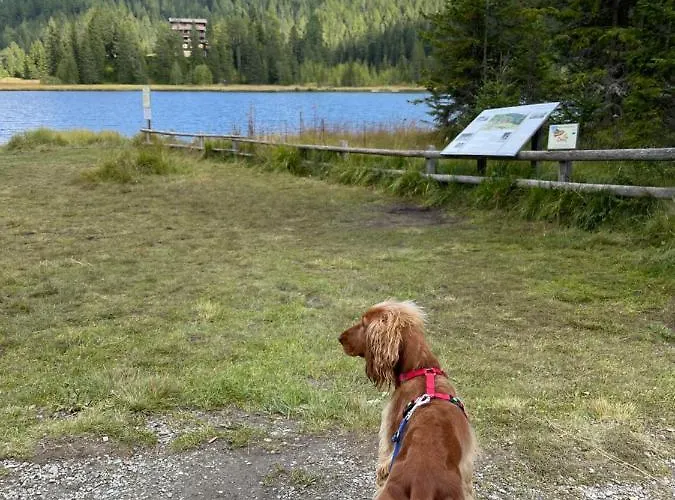 公寓 Tini's Feinstes 玛利亚普法尔