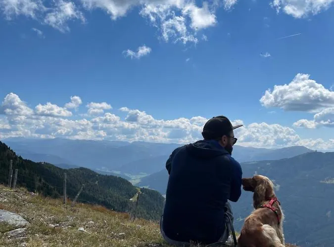 Daire Tini's Feinstes *